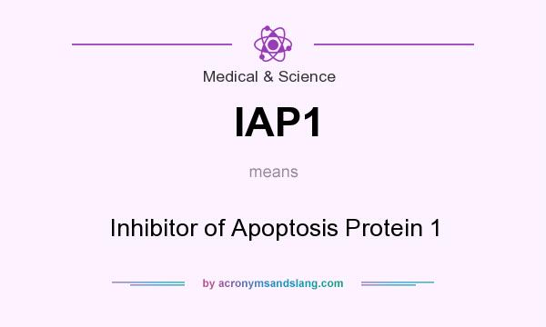 What does IAP1 mean? It stands for Inhibitor of Apoptosis Protein 1