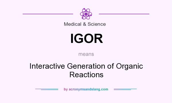 What does IGOR mean? It stands for Interactive Generation of Organic Reactions