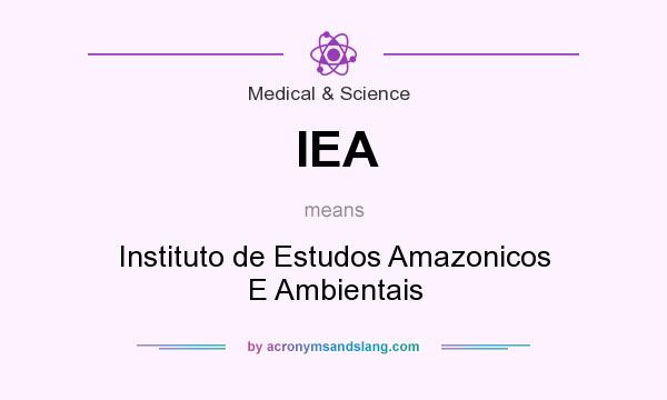 What does IEA mean? It stands for Instituto de Estudos Amazonicos E Ambientais