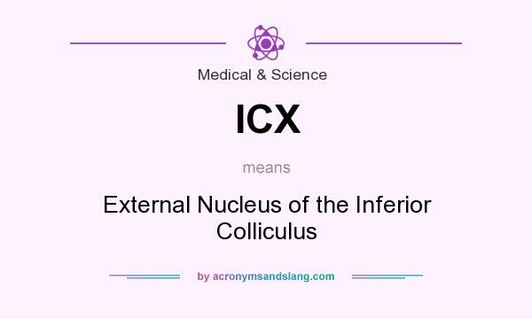 What does ICX mean? It stands for External Nucleus of the Inferior Colliculus