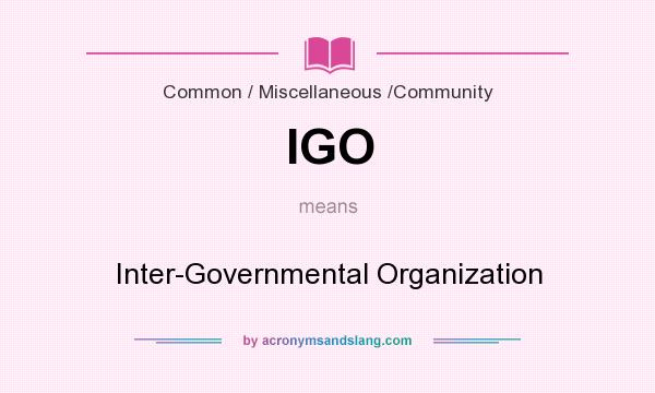 What does IGO mean? It stands for Inter-Governmental Organization