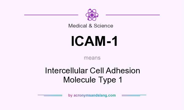 What does ICAM-1 mean? It stands for Intercellular Cell Adhesion Molecule Type 1