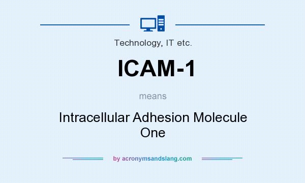 What does ICAM-1 mean? It stands for Intracellular Adhesion Molecule One