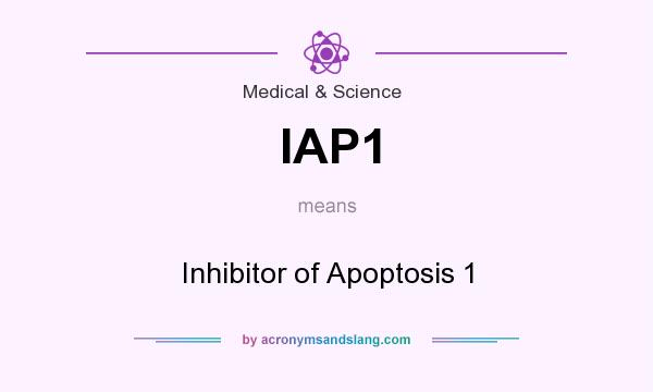 What does IAP1 mean? It stands for Inhibitor of Apoptosis 1