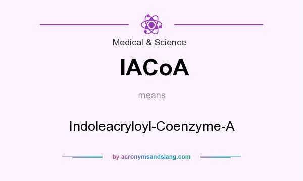 What does IACoA mean? It stands for Indoleacryloyl-Coenzyme-A