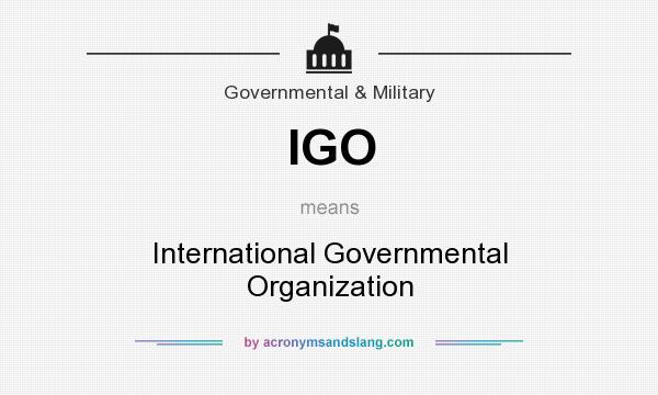 What does IGO mean? It stands for International Governmental Organization