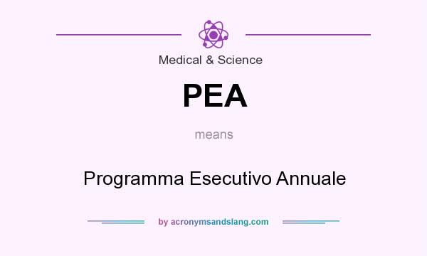 What does PEA mean? It stands for Programma Esecutivo Annuale
