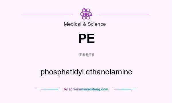 What does PE mean? It stands for phosphatidyl ethanolamine