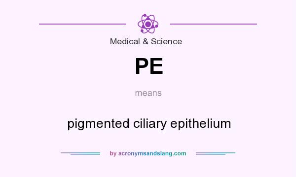 What does PE mean? It stands for pigmented ciliary epithelium