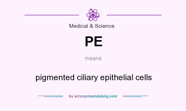 What does PE mean? It stands for pigmented ciliary epithelial cells