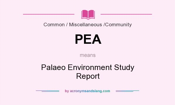 What does PEA mean? It stands for Palaeo Environment Study Report