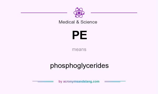 What does PE mean? It stands for phosphoglycerides