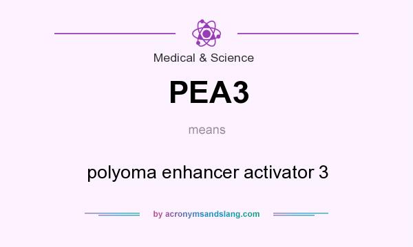 What does PEA3 mean? It stands for polyoma enhancer activator 3
