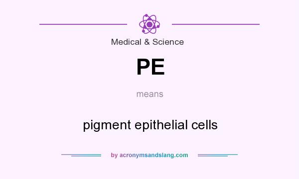 What does PE mean? It stands for pigment epithelial cells