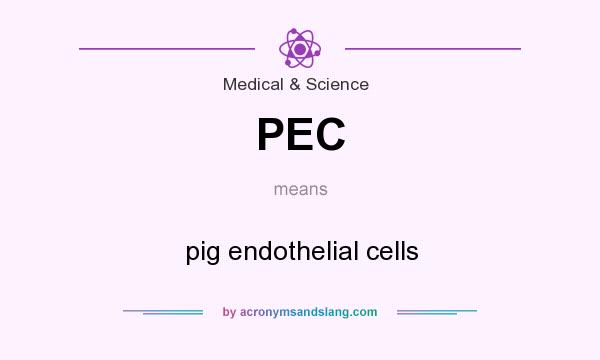 What does PEC mean? It stands for pig endothelial cells