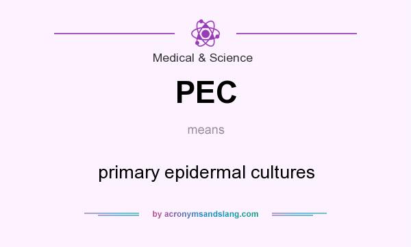 What does PEC mean? It stands for primary epidermal cultures