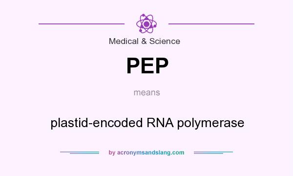 What does PEP mean? It stands for plastid-encoded RNA polymerase