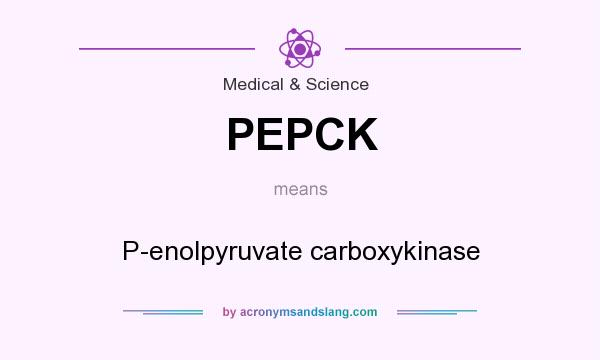 What does PEPCK mean? It stands for P-enolpyruvate carboxykinase