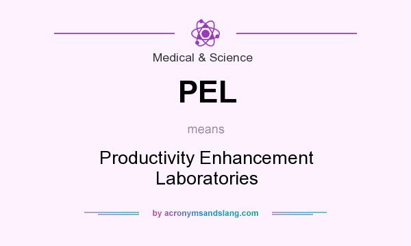 What does PEL mean? It stands for Productivity Enhancement Laboratories
