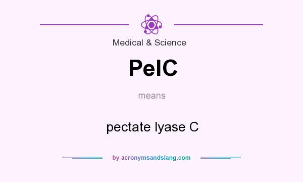 What does PelC mean? It stands for pectate lyase C
