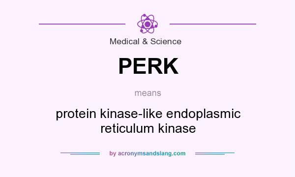 What does PERK mean? It stands for protein kinase-like endoplasmic reticulum kinase