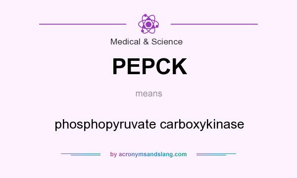 What does PEPCK mean? It stands for phosphopyruvate carboxykinase