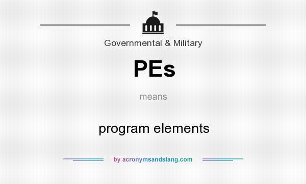 What does PEs mean? It stands for program elements