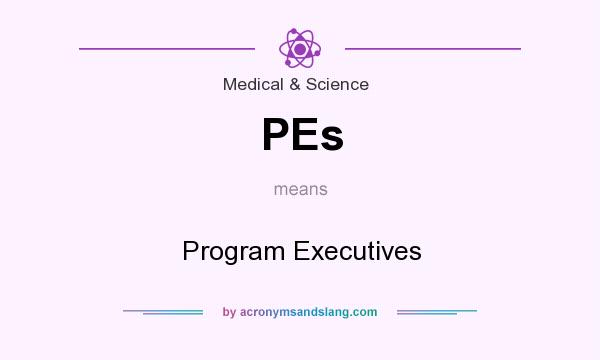 What does PEs mean? It stands for Program Executives