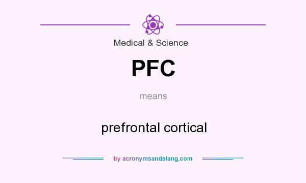 What does PFC mean? It stands for prefrontal cortical