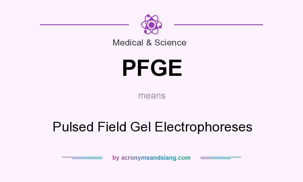 What does PFGE mean? It stands for Pulsed Field Gel Electrophoreses