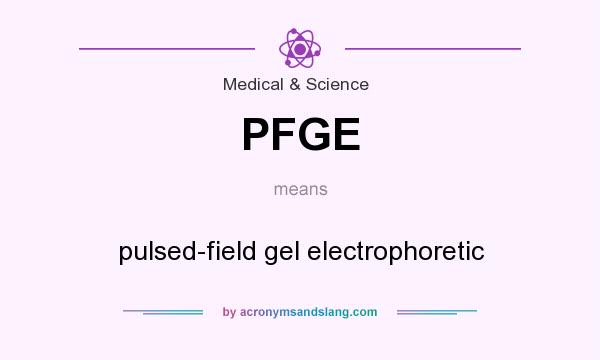 What does PFGE mean? It stands for pulsed-field gel electrophoretic
