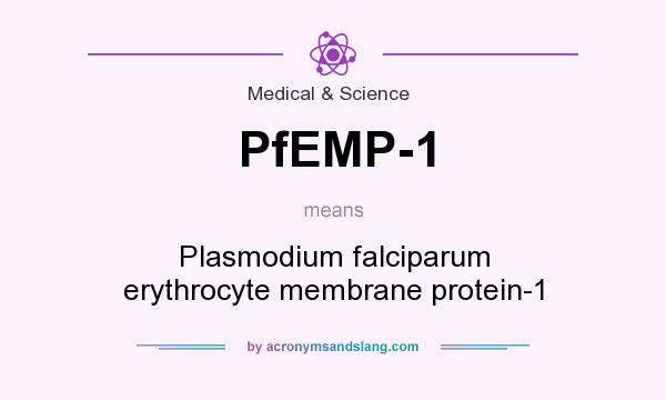 What does PfEMP-1 mean? It stands for Plasmodium falciparum erythrocyte membrane protein-1