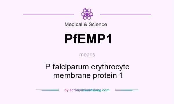 What does PfEMP1 mean? It stands for P falciparum erythrocyte membrane protein 1