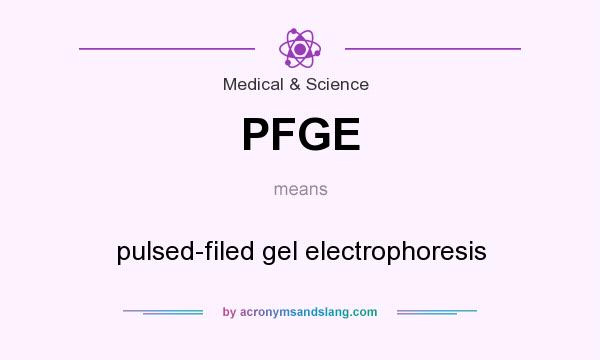 What does PFGE mean? It stands for pulsed-filed gel electrophoresis