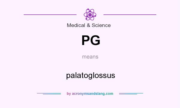 What does PG mean? It stands for palatoglossus