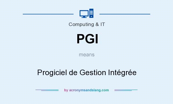 What does PGI mean? It stands for Progiciel de Gestion Intégrée