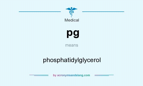 What does pg mean? It stands for phosphatidylglycerol