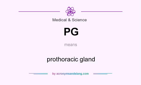 What does PG mean? It stands for prothoracic gland