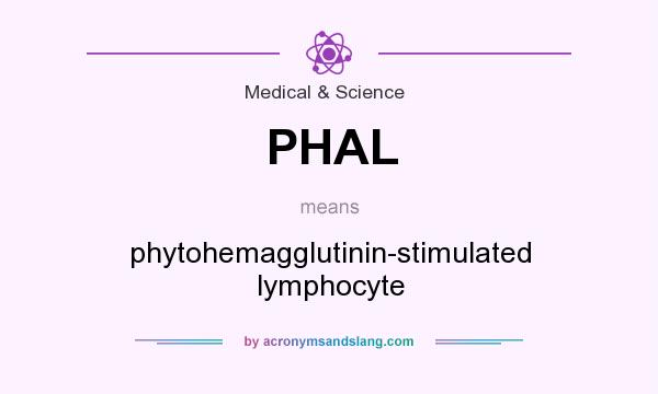 What does PHAL mean? It stands for phytohemagglutinin-stimulated lymphocyte