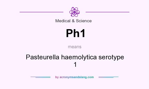 What does Ph1 mean? It stands for Pasteurella haemolytica serotype 1