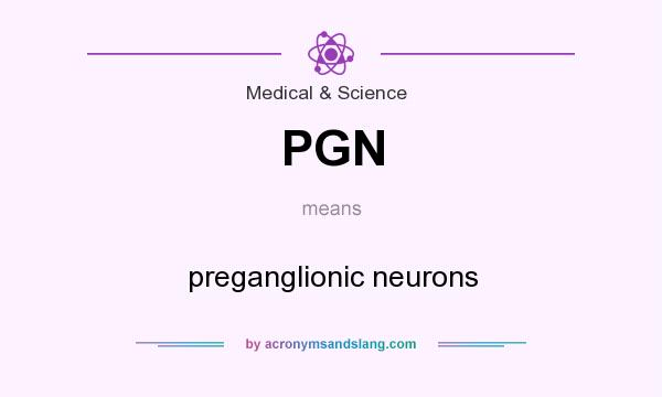 What does PGN mean? It stands for preganglionic neurons