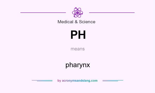 What does PH mean? It stands for pharynx