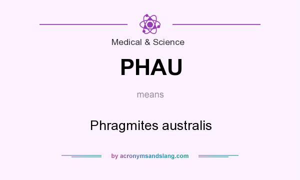What does PHAU mean? It stands for Phragmites australis