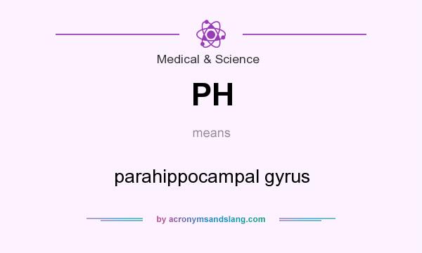 What does PH mean? It stands for parahippocampal gyrus