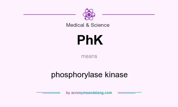 What does PhK mean? It stands for phosphorylase kinase