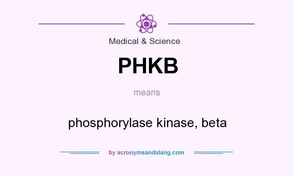 What does PHKB mean? It stands for phosphorylase kinase, beta