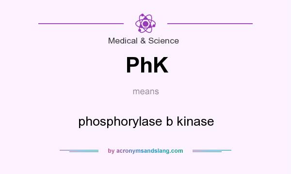 What does PhK mean? It stands for phosphorylase b kinase