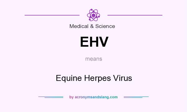 What does EHV mean? It stands for Equine Herpes Virus