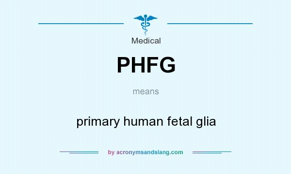 What does PHFG mean? It stands for primary human fetal glia