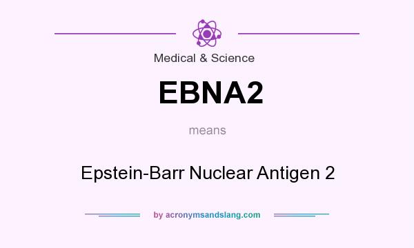 What does EBNA2 mean? It stands for Epstein-Barr Nuclear Antigen 2